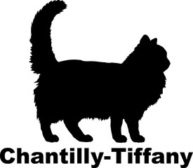 Chantilly-Tiffany Cat. silhouette, cat breeds,