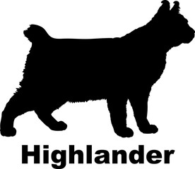 Highlander Cat. silhouette, cat breeds,