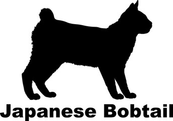  Japanese Bobtail Cat. silhouette, cat breeds,