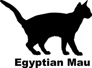 Egyptian Mau Cat. silhouette, cat breeds,