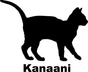 Kanaani Cat. silhouette, cat breeds,
