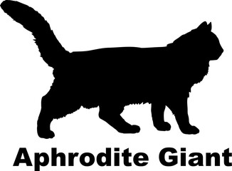  Aphrodite Giant Cat. silhouette, cat breeds,