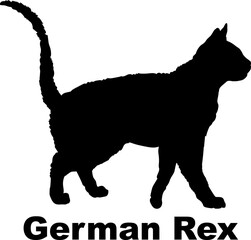 German Rex Cat silhouette cat breeds
