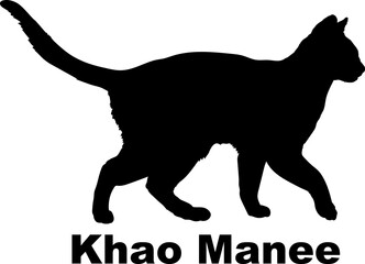  Khao Manee Cat silhouette cat breeds