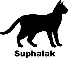 Suphalak Cat silhouette cat breeds