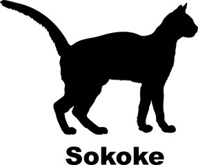  Sokoke Cat silhouette cat breeds