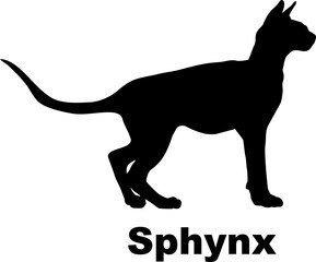Sphynx Cat silhouette cat breeds