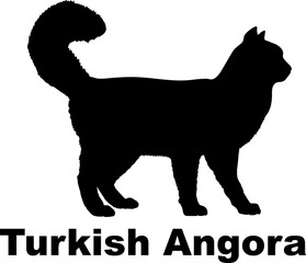 Turkish Angora Cat silhouette cat breeds