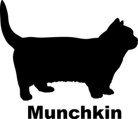 Munchkin Cat silhouette cat breeds