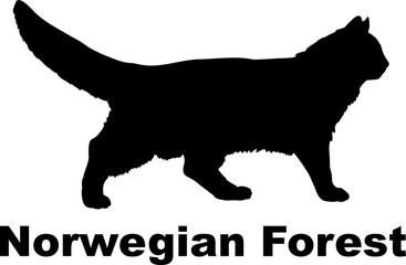 Norwegian Forest Cat silhouette cat breeds