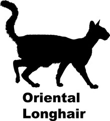 Oriental Longhair Cat silhouette cat breeds