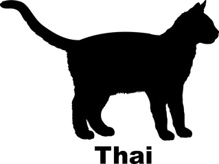 Thai Cat silhouette cat breeds