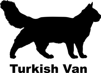 Turkish Van Cat silhouette cat breeds