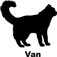 Van Cat silhouette cat breeds