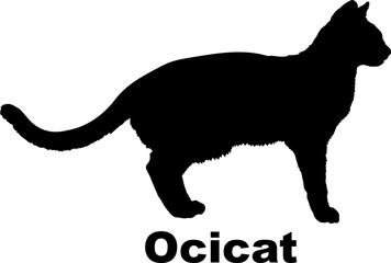 Ocicat Cat silhouette cat breeds