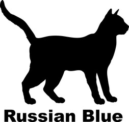 Russian Blue Cat silhouette cat breeds