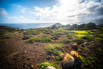 Madeira - Ponto do Rosto