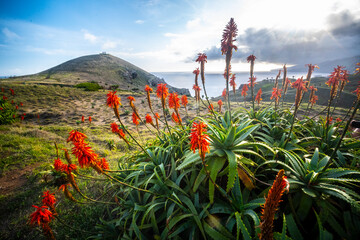 Madeira - Ponto do Rosto