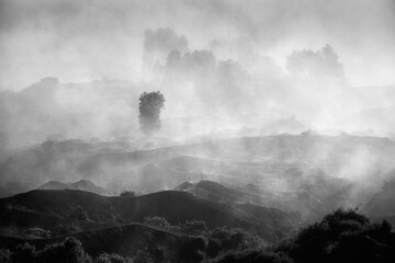 misty morning in the mountains in black and white 
