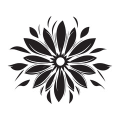 Floral Floral Collection. flower drawings. Black and white with line art on white backgrounds