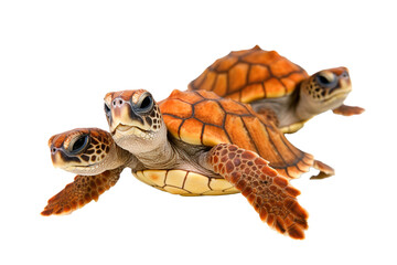 Naklejka premium Loggerhead sea turtles , generative artificial intelligence 