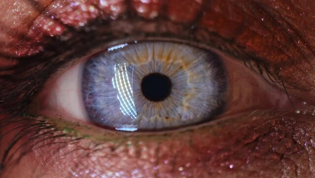 Extreme macro of female eye iris. Woman makeup, glitter shadows and false lashes