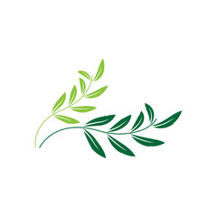 green leaf logo design vector icons