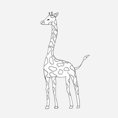 A vector giraffe. Line art animal isolated on white background. Hand drawn line sketch, black and white simple illustration. 
