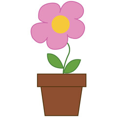pink flower in a pot