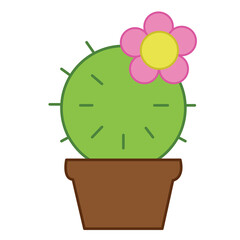 cactus in a pot