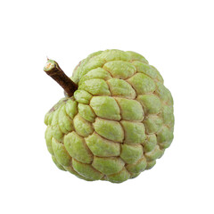 custard apple fruit isolated on a transparent background.