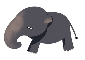 Elephant 