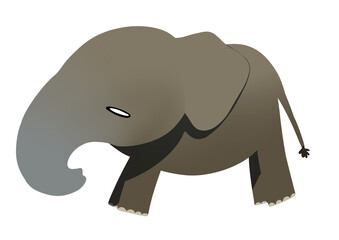 Elephant 