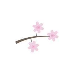 Cherry blossom Sakura flower sign label and Sakura tree branch isolated on white backgrounds vector illustration.