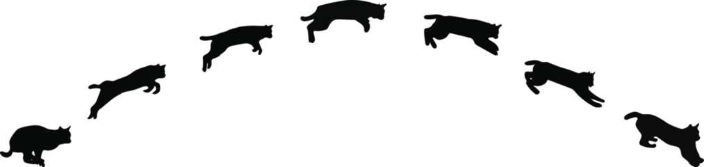 cats silhouette jumping images