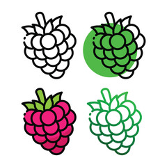 Raspberry icon design in four variation color