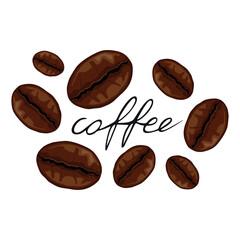 Kawa - całe ziarna palonej kawy. Brązowe ziarna kawy z napisem coffee. Palone ziarenka kawy na białym tle. Aromatyczna palona kawa - rysunek wektorowy, ilustracja