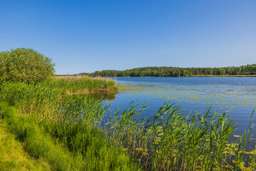 Obraz na płótnie Canvas Beautiful nature landscape view of water lilies and plants around surface of lake reflecting in water. Sweden.