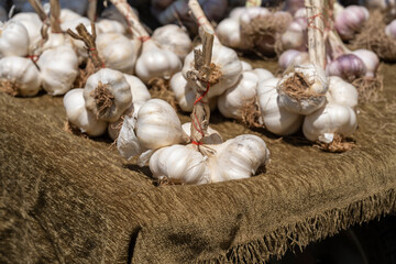 fresh garlics at the local market