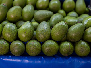 fresh avocado at local market