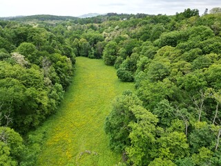 Obraz premium Aerial photography of the forest outside Lyon, France