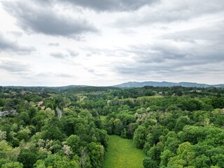 Obraz premium Aerial photography of the forest outside Lyon, France