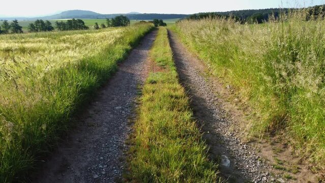 Entlang des Feldwegs: Sommerliche Drohnenaufnahmen von idyllischen Landschaften und goldener Ernte in der R&ouml;hn