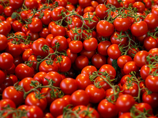 fresh tomatoes at the local market
