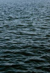 Obraz premium wave on the sea surface