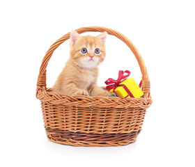 Fototapeta na wymiar Red kitten in a basket with gifts.