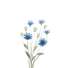 Naklejka premium Blue flower