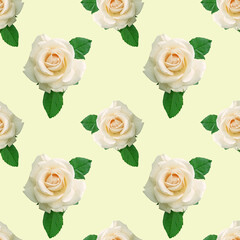 Cute rose seamless pattern yellow background