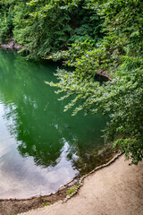 Szmaragdowe Jezioro w Szczecinie, brzeg, drzewa, lato, Polska, zielone jezioro