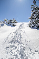 Tatry zima góry w śniegu, ścieżka, szlak, wspinaczka, wędrówka drzewa, 